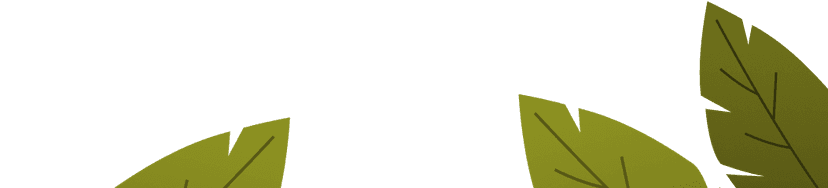 right decoration